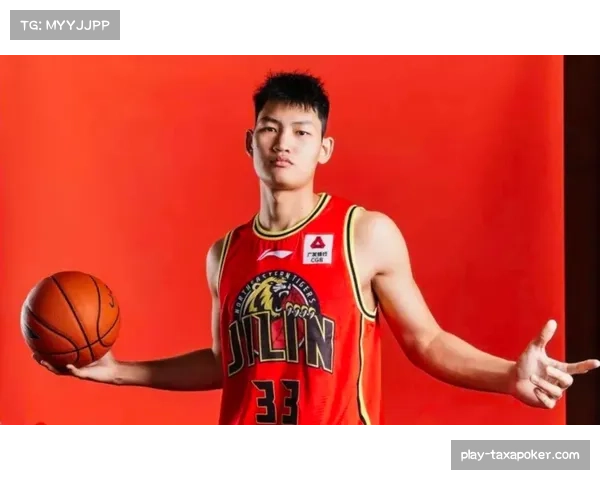 深度数据：本赛季各区域得分王分布图，展示球员技术特点变迁